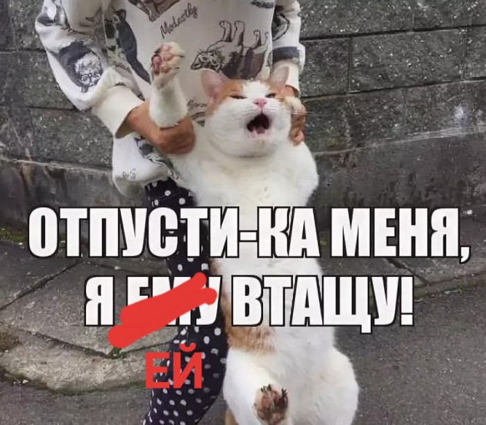 Это неизлечимо