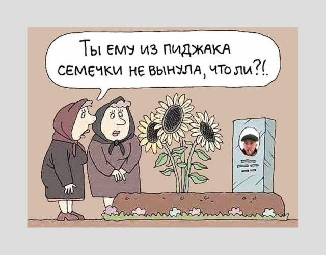 Просто картинки