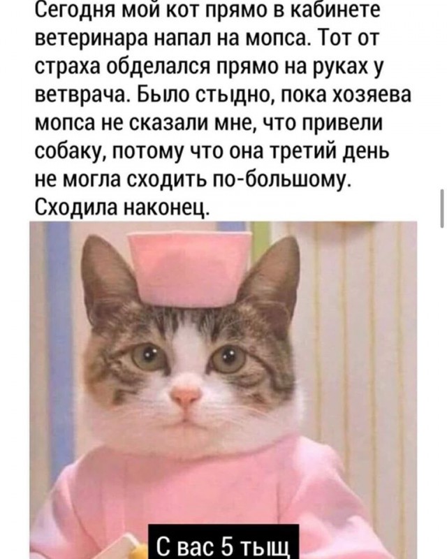 Поднакопилось чутка картинок и надписей