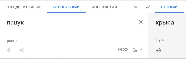 Умный пасюк