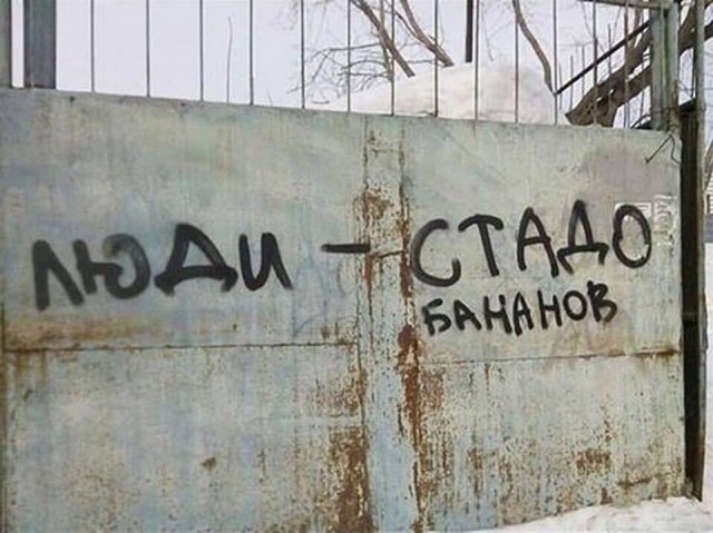 А стена ведь дело говорит. Стены фигни не скажут