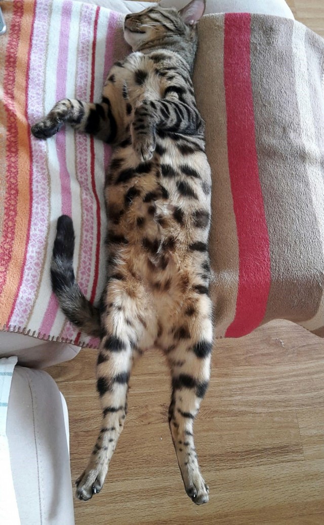 Моя красотка