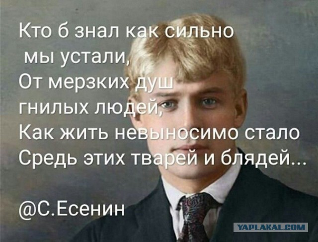 Цены на бензин в России резко пошли в рост