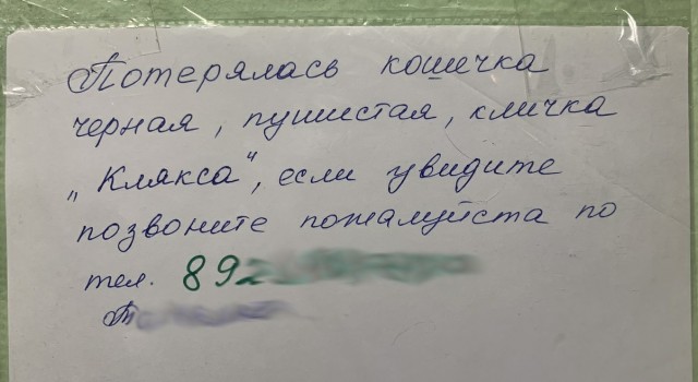 Маленькое происшествие
