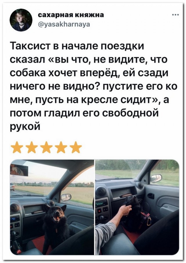 Забавные комментарии из социальных сетей (02.08.21)