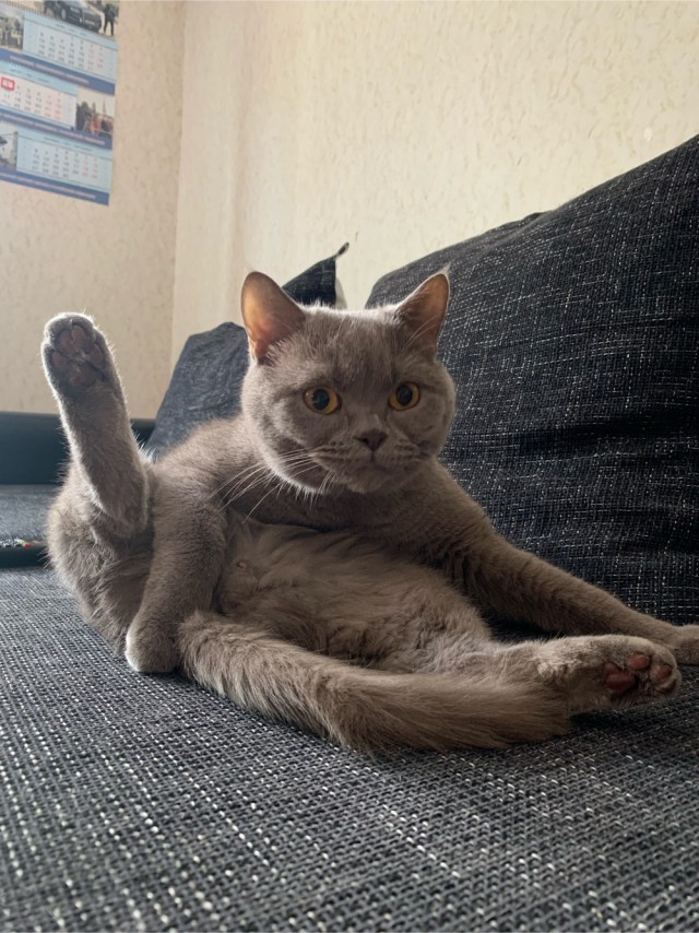 Соединение установлено