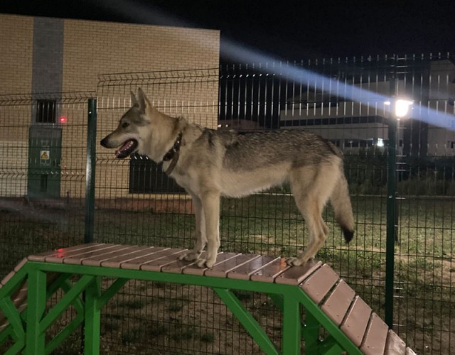 Парень который всегда рядом