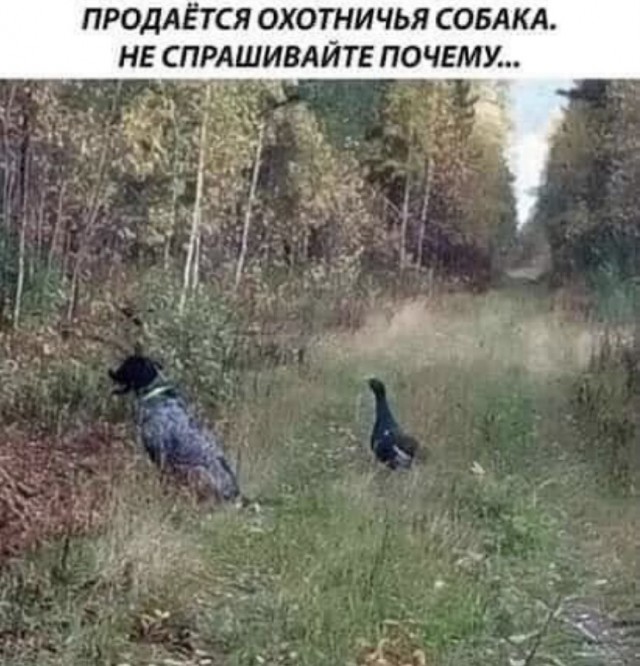 Так себе картинки 04.09.21