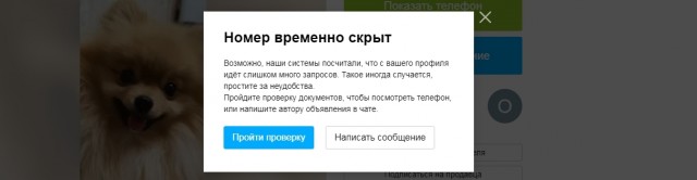 Авита всё чудесатее и чудесатее