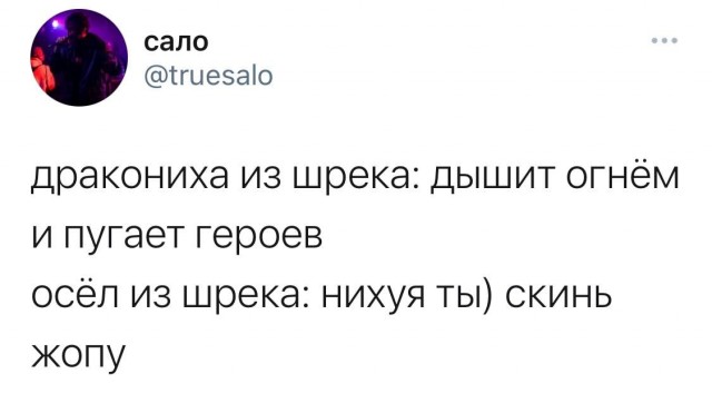 Картинки из рабочего чата 13.11.21