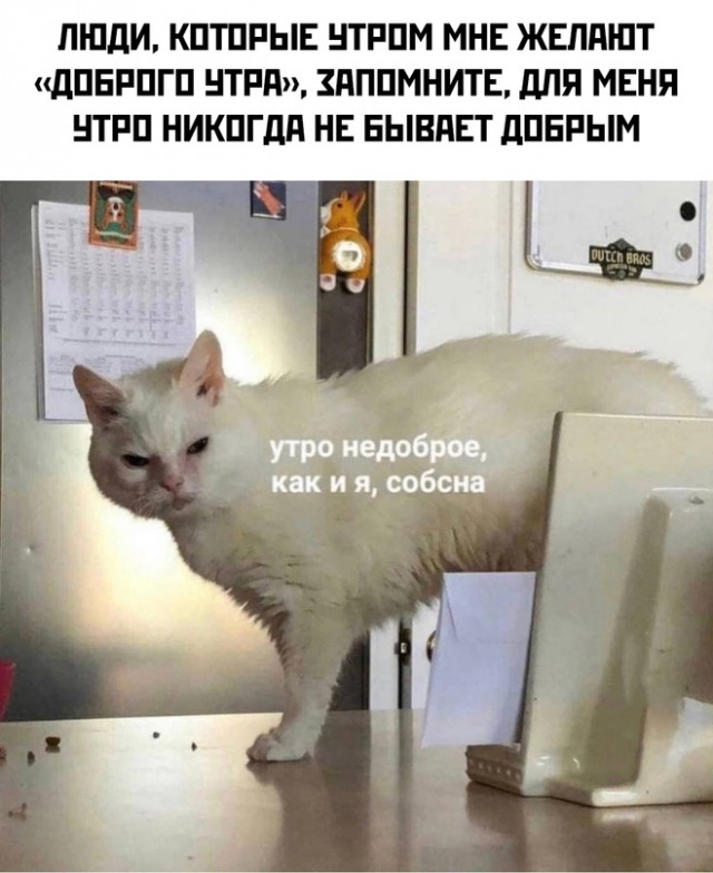Есть два типа девушек и другие картинки 20.12.21