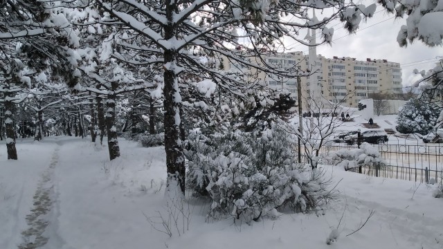 Тёплые фотографии севастопольской зимы - routir - LiveJournal