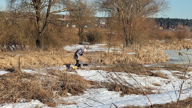 А не бухнуть ли во вторник?