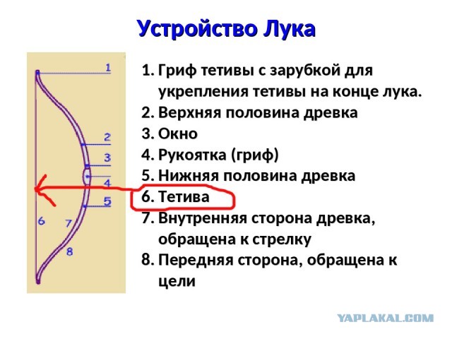 Кулинарная общалка