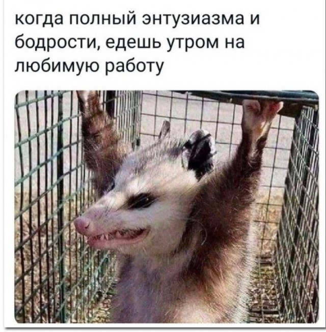 Когда люди поймут?⁠⁠