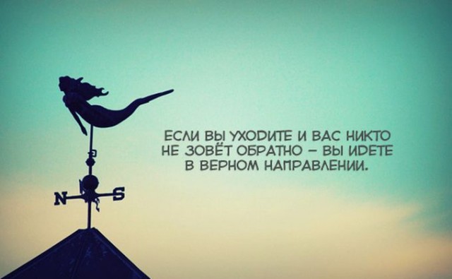 Так себе картинки 10.07.22