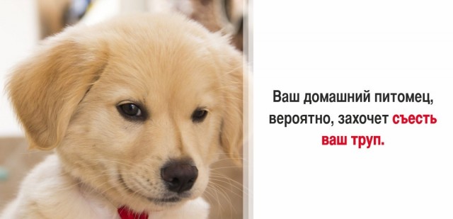 30 суровых фактов, которые пугают больше, чем фильмы ужасов