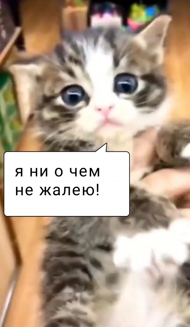 Побег не удался