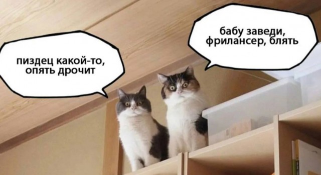А эта норм?