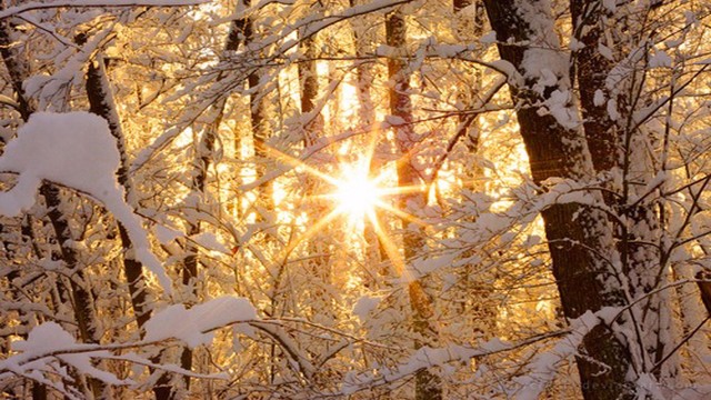 Прикольные и просто красивые картинки 27.12.2022