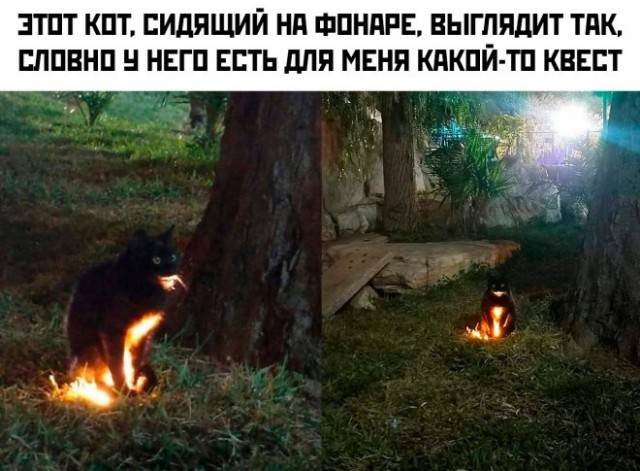 Картинки с надписями для поднятия настроения