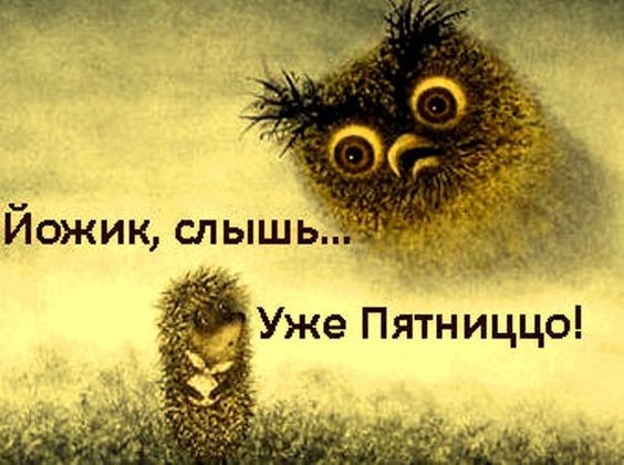 Прикольные и просто красивые картинки 10.02.2023