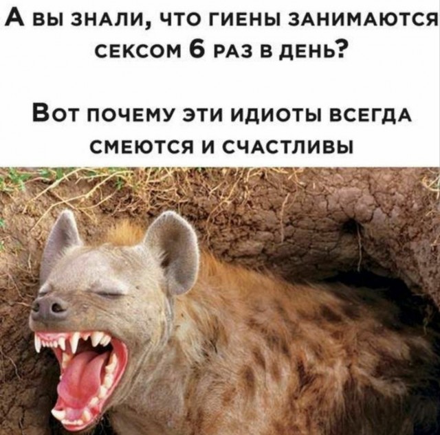 Села батарейка