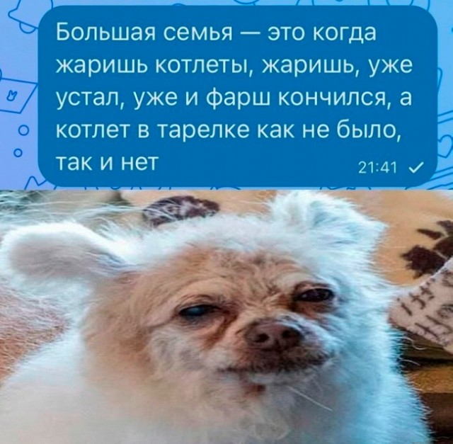 Нуштош 18.05.2023