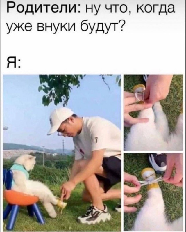 Отряд быстрого деградирования