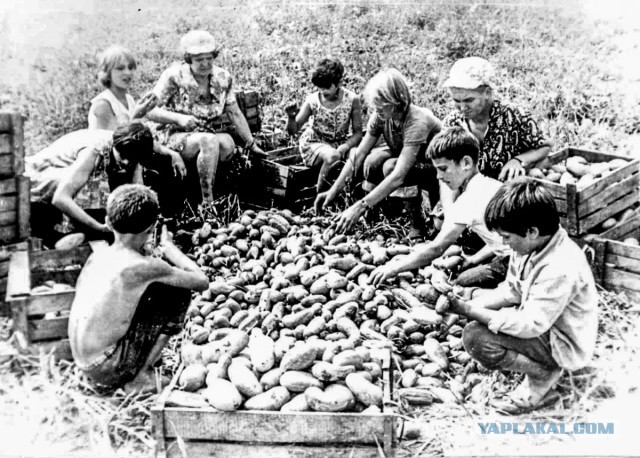 Фотографии из прошлого нашей страны - 53