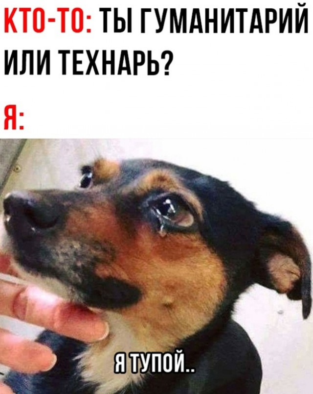 Весёлый полтишок 15.04.24