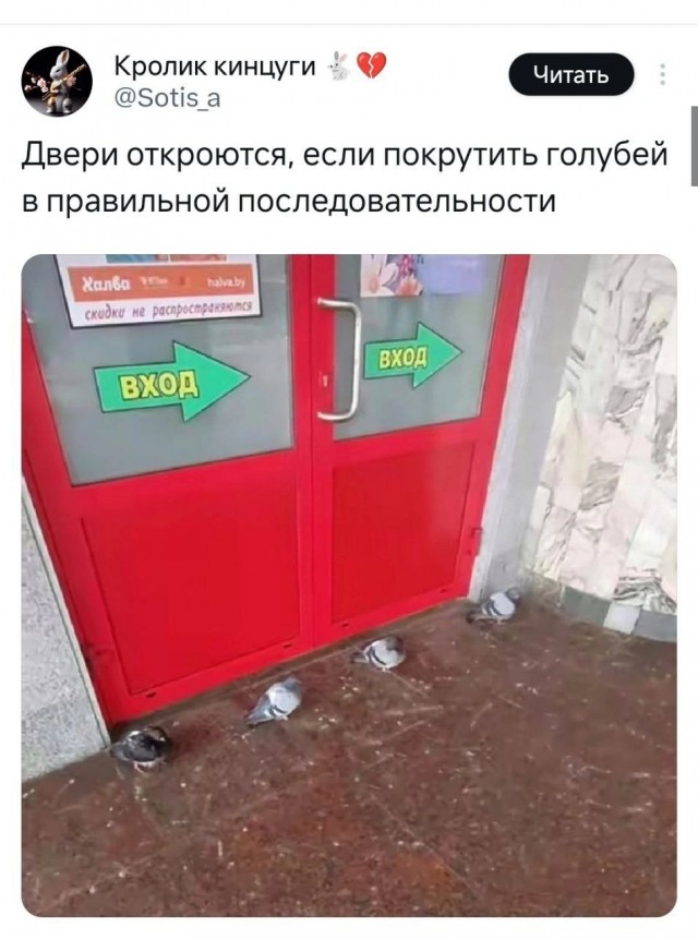 Никакие картинки и тексты