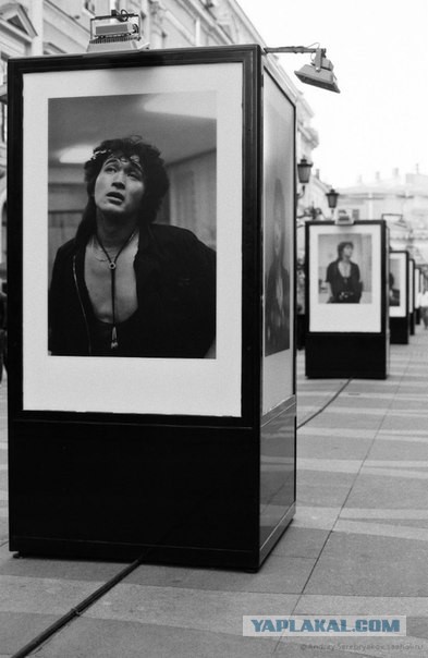 Фото с выставки в Питере на Малой Садовой