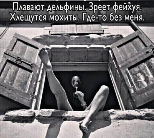 Весёлый полтишок 10.07.24