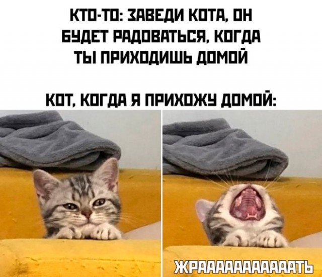 Завалялось тут случайно немного забавных картинок в субботу