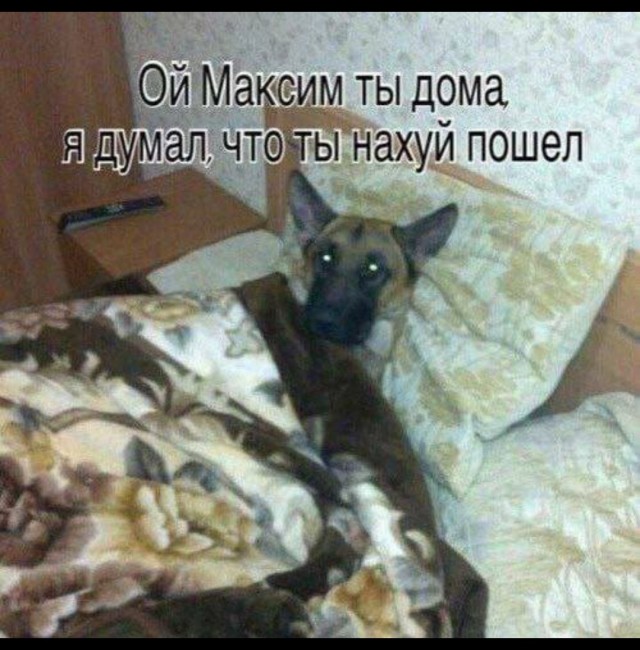 Просто. Не. Трогайте. Меня
