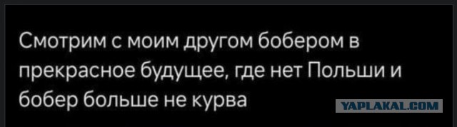 Бесплатные картинки