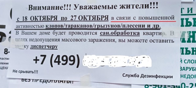 Нужна помощь всесильного ЯПа. Батя принёс из больницы постельных клопов