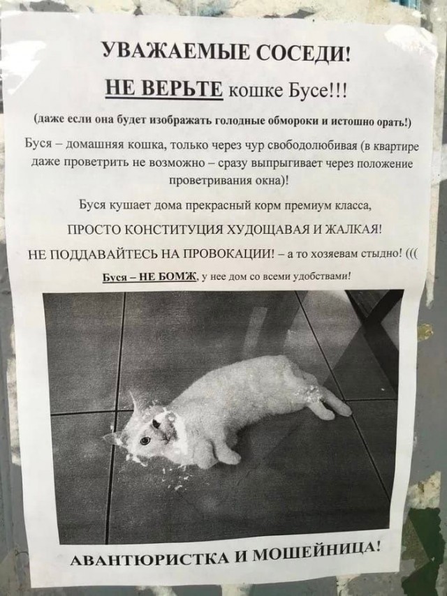 Так себе картинки 22.11.24