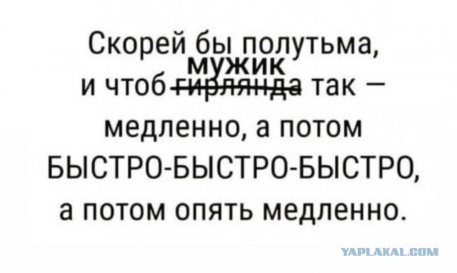 Нуштош 13.12.2024