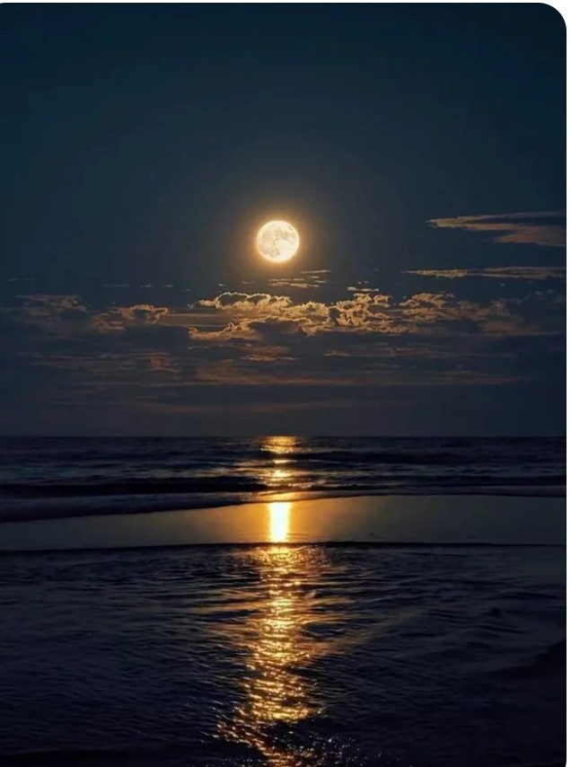 Чёрный псто