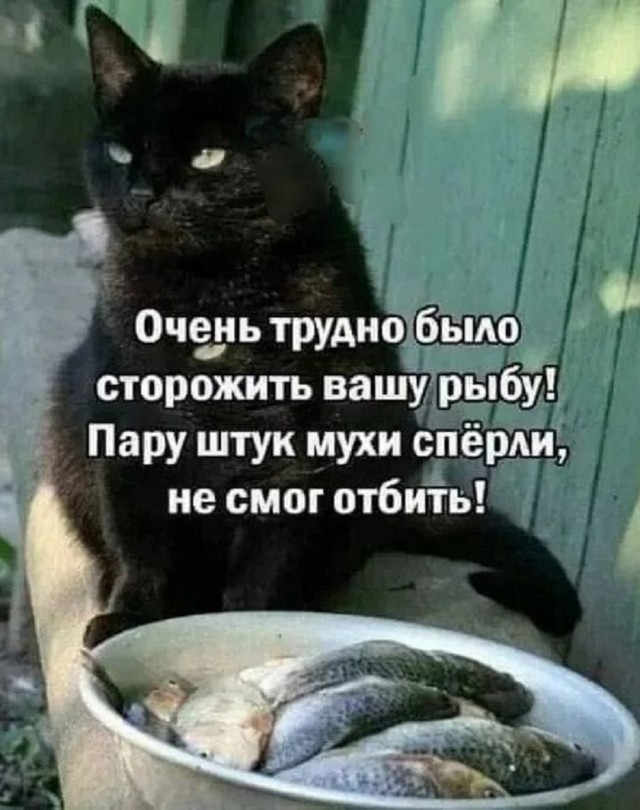 Так себе картинки 15.05.25
