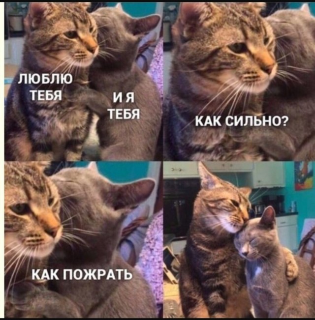 Интернет мемы на утро субботы
