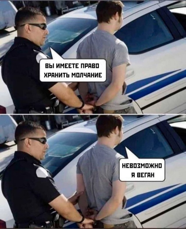 Веселые картинки в маленькую пятницу (11.06)