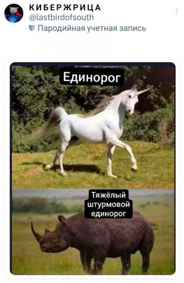 Веселые картинки в пятницу (11.07)
