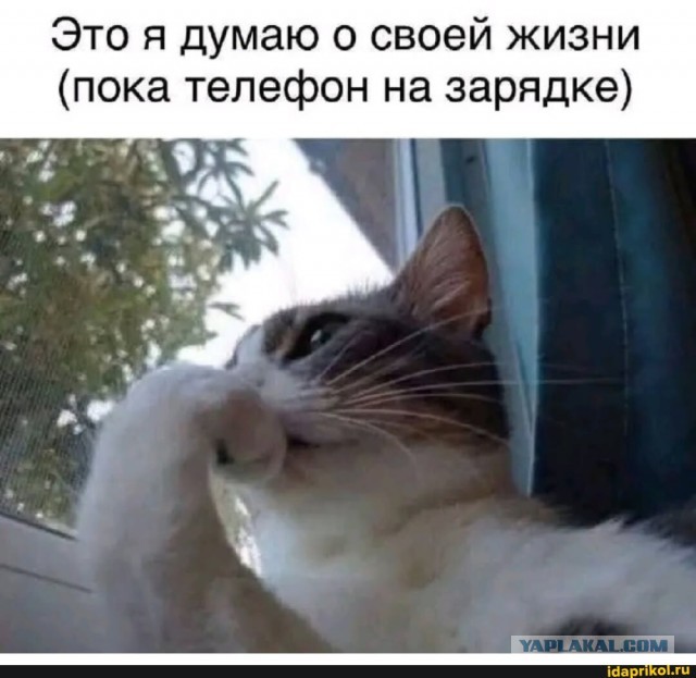 Немного картинок