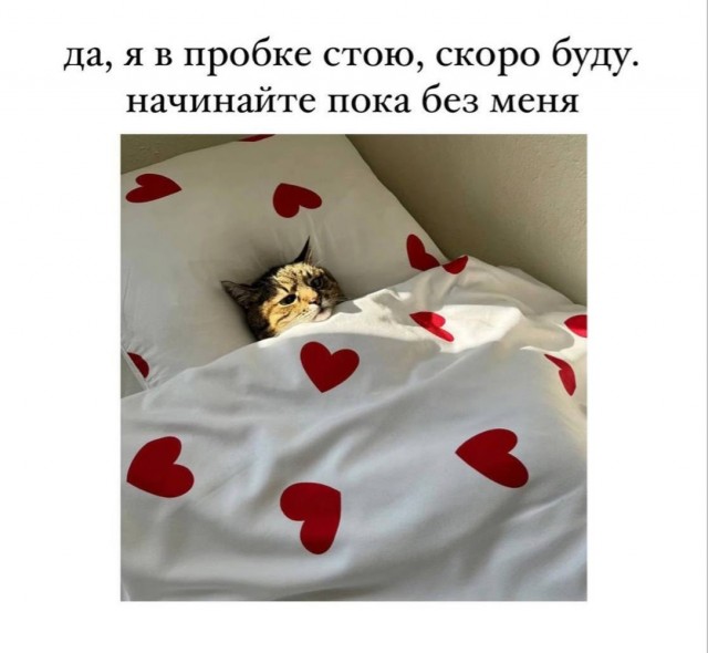 Вторник. Немного картинок