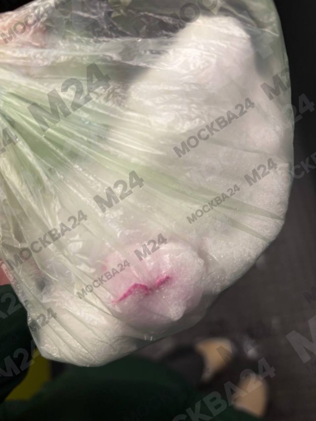 Жители боятся гулять с питомцами в ЖК «Мещерский лес»