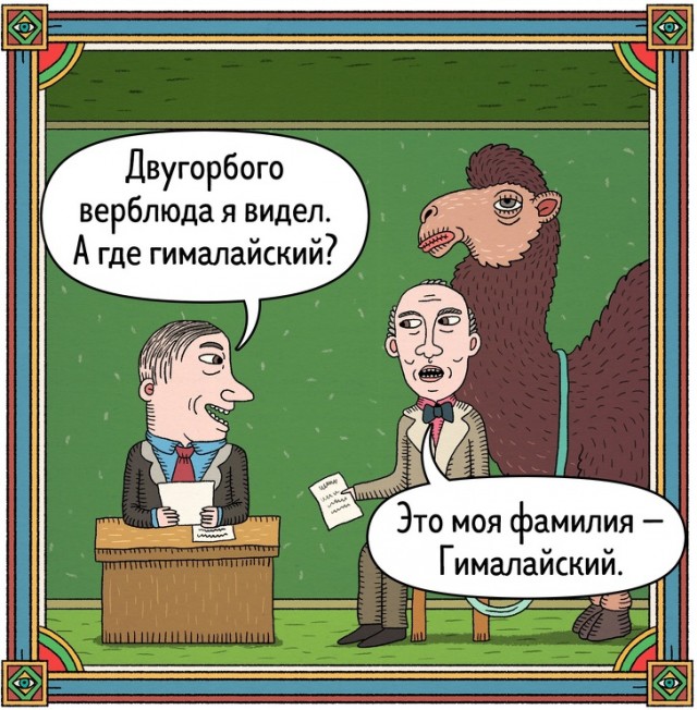 Верблюжьи паспорта будут выдавать в Саудовской Аравии