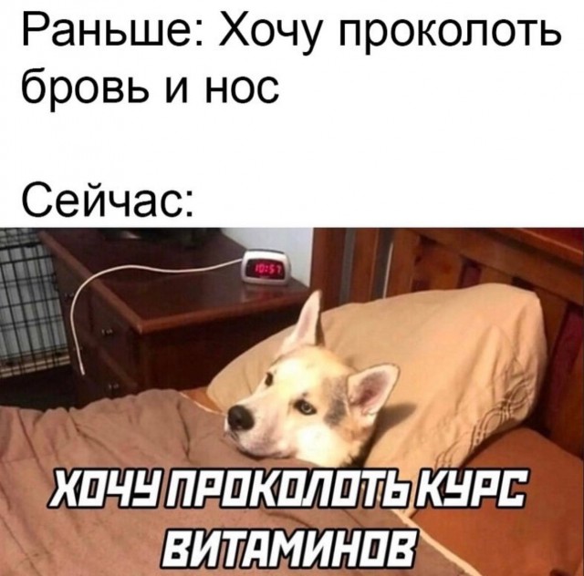 Субботние картинки